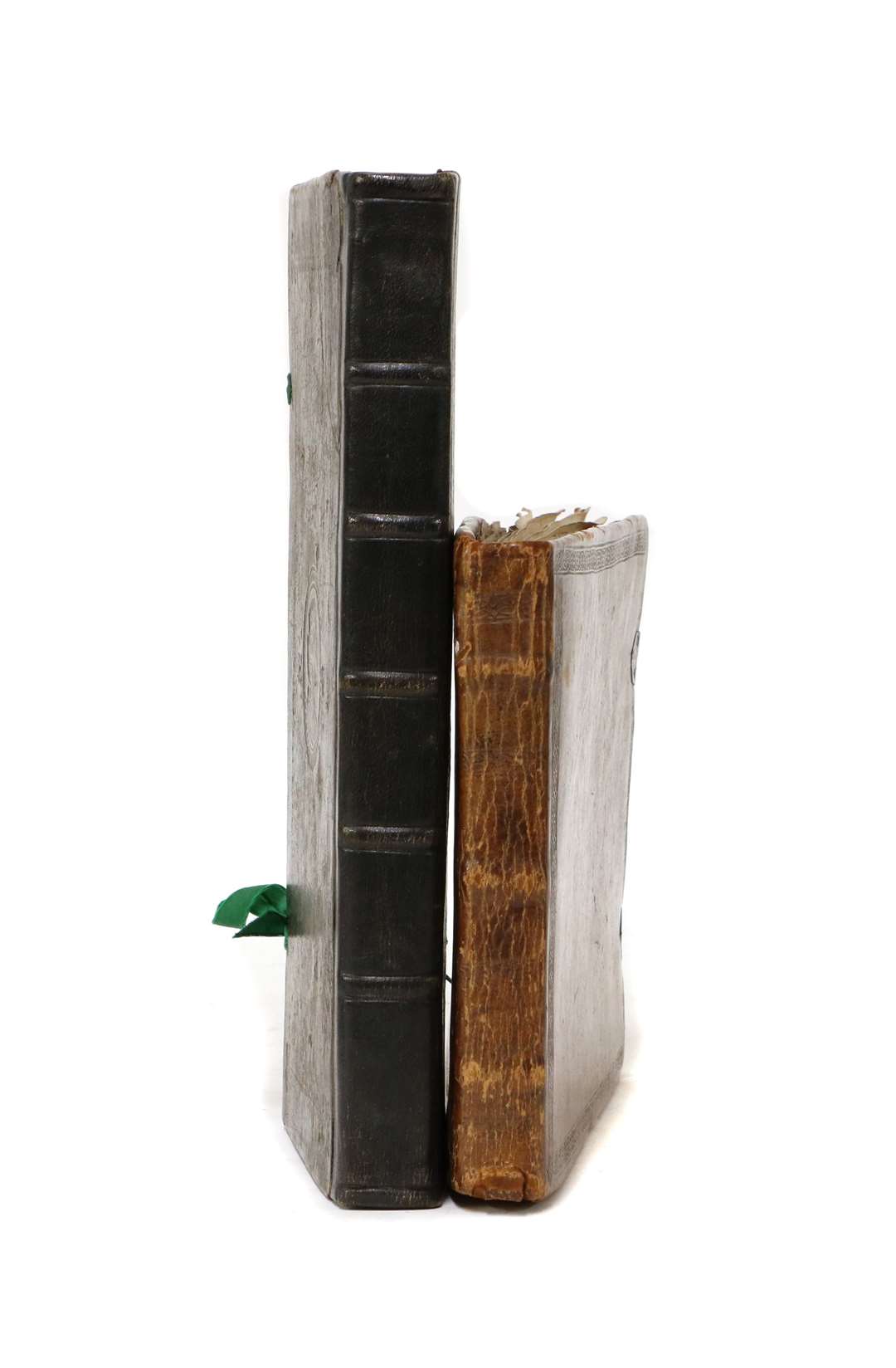 The rare book (58955579)