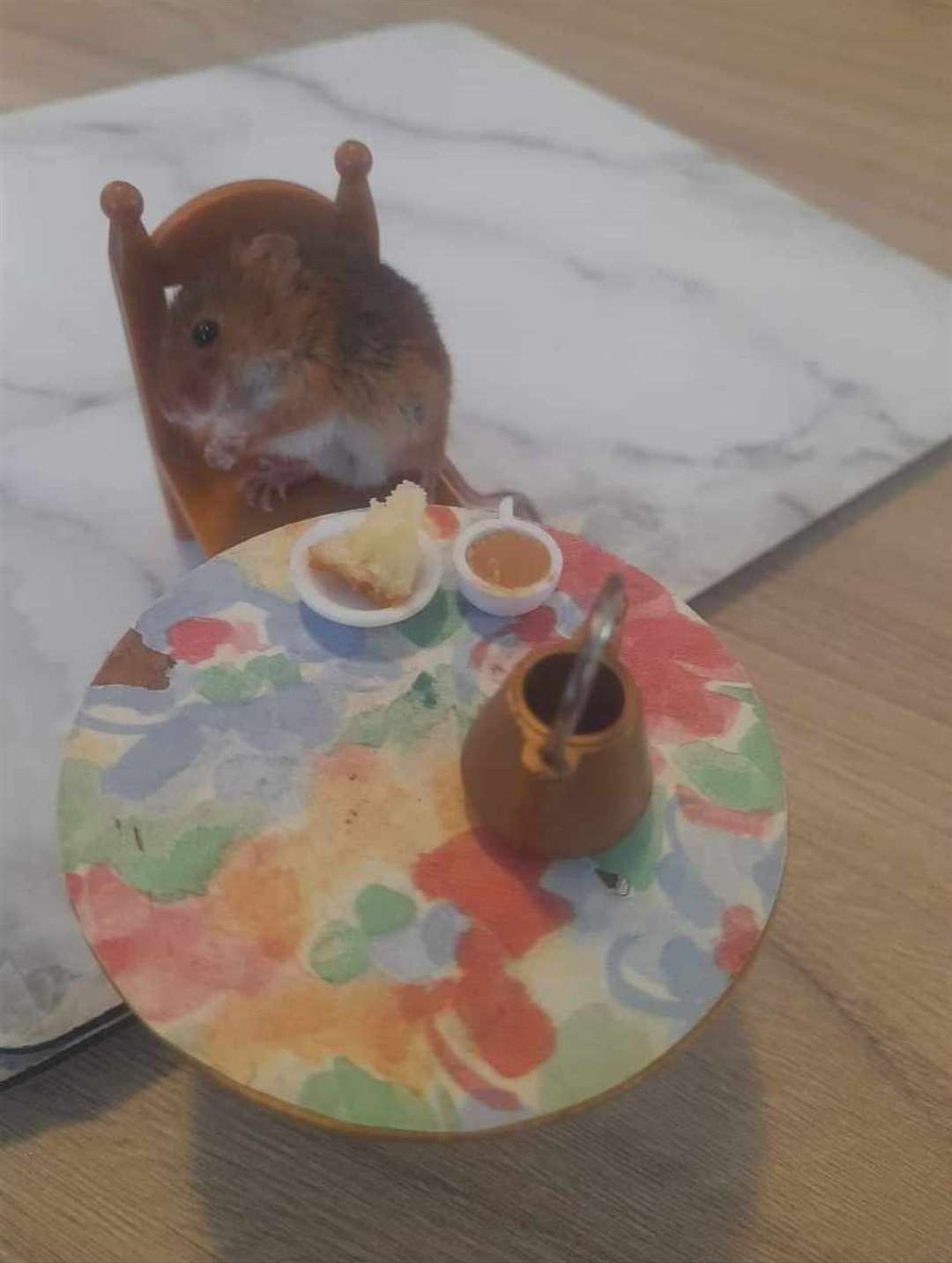 Mr Jingles has more than half a million followers online (Copyright: Martin Critchlow)