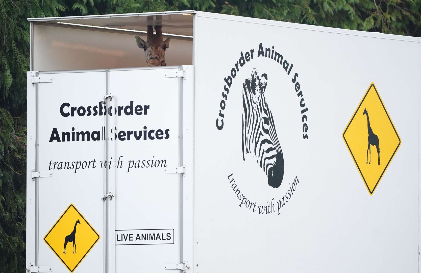 Noinin was moved in a large transporter from Co Cork in Ireland (Andrew Milligan/PA)