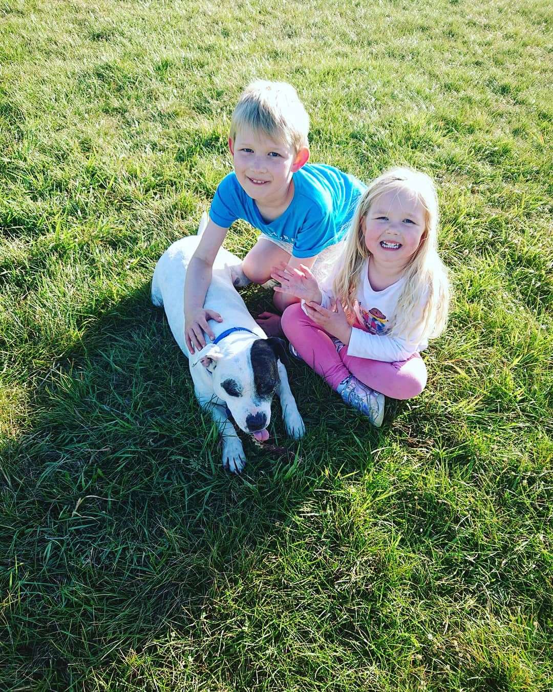 Bonzai with Jack and Maisie. (42301374)