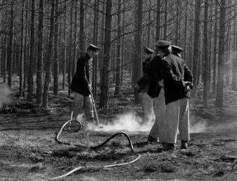 Firemen damp down fires near a caravan site and St Leonards Hospital after drought stricken Britain's worst forest fire raged out of control in the New Forest. Photo credit: PA/PA Archive.