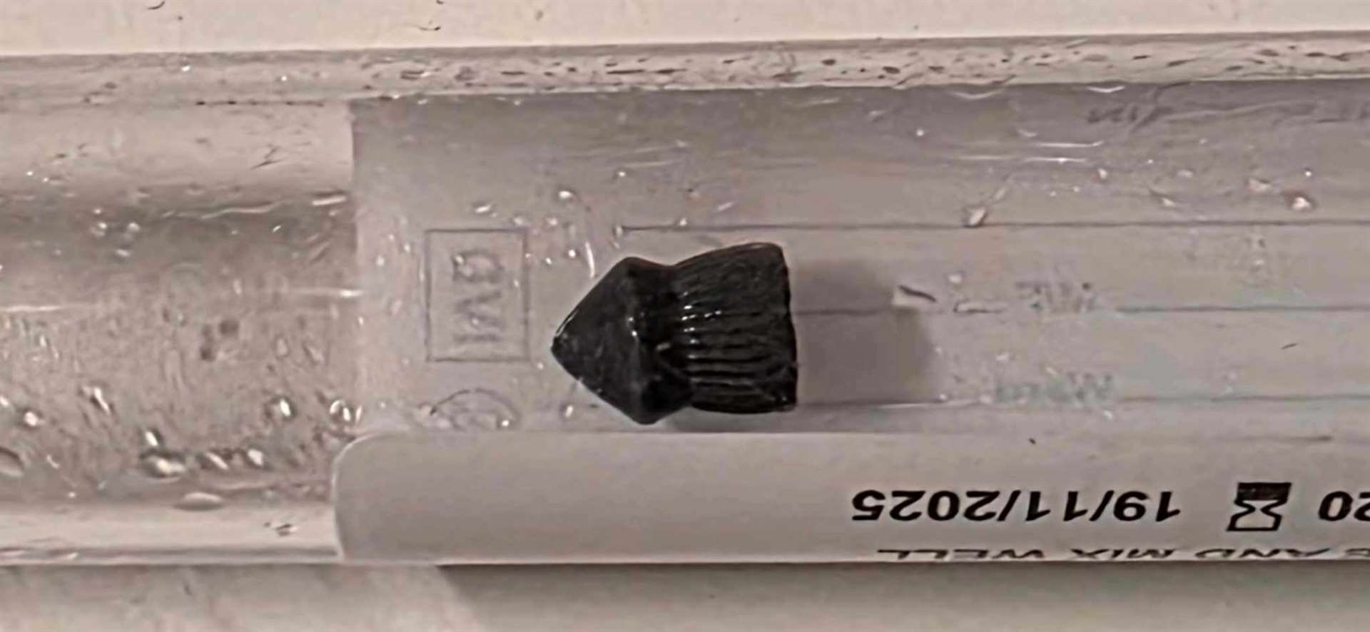 The air gun pellet that was removed from Nala by a vet