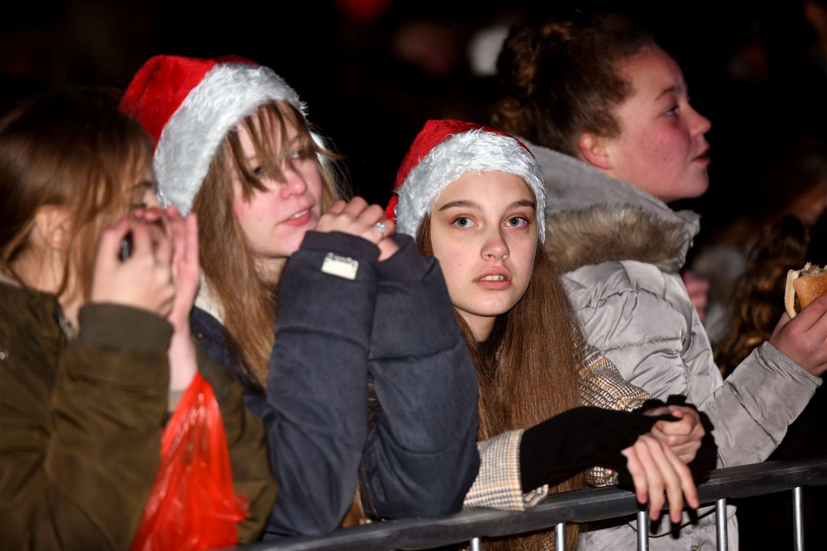 Wisbech Christmas Lights switch on. (53369356)