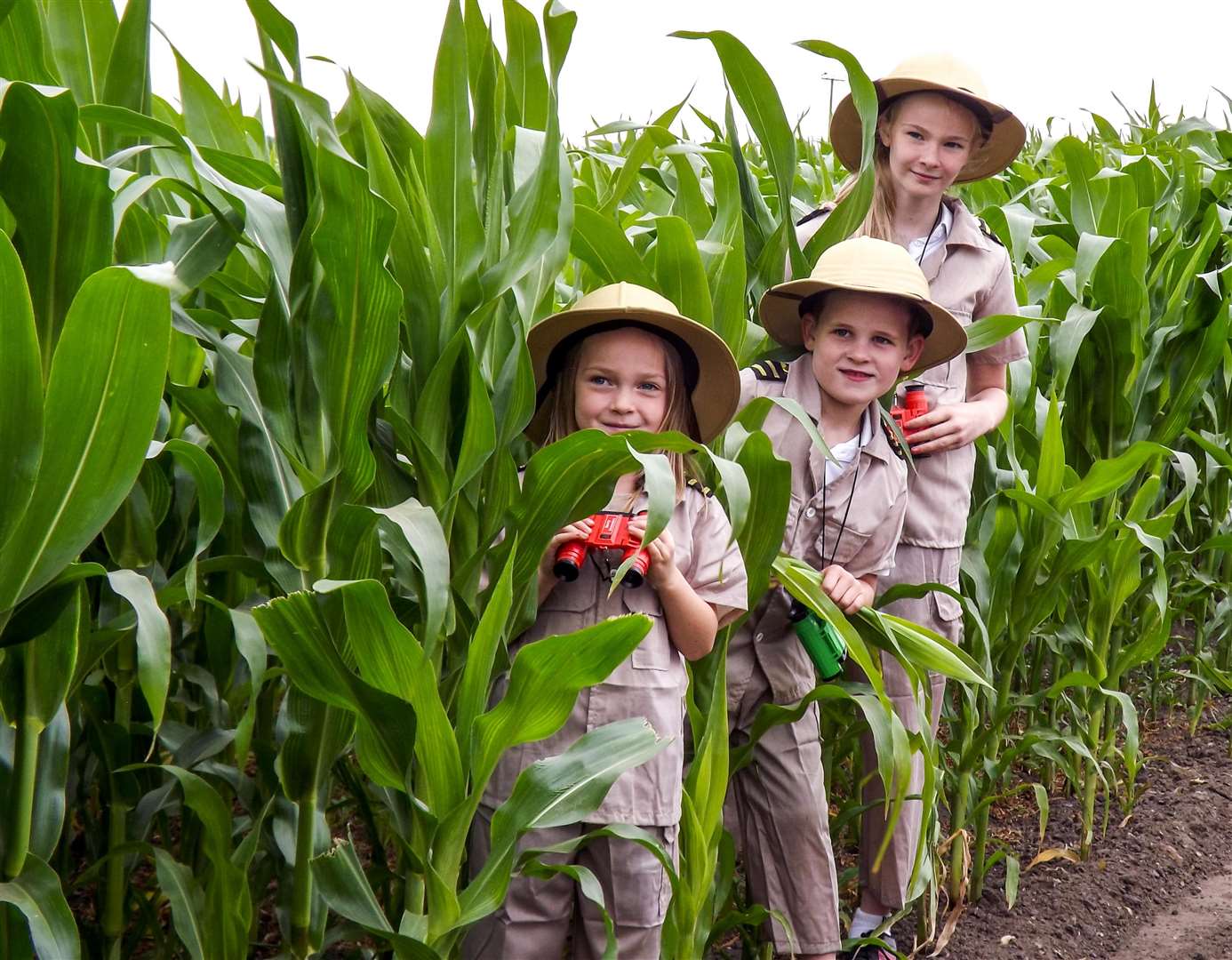 On the look out for dinosaurs in the Skylark maize maze: Annabell Wesley, 11, Owen Askew, 7 and Amelia Hathaway, 6. (3047063)