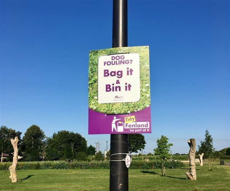 Dog owners in Chatteris are failing to pick up after their pets.