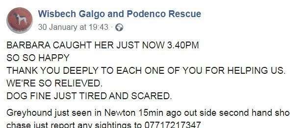 A Facebook post announcing the dog had been found. (28593025)