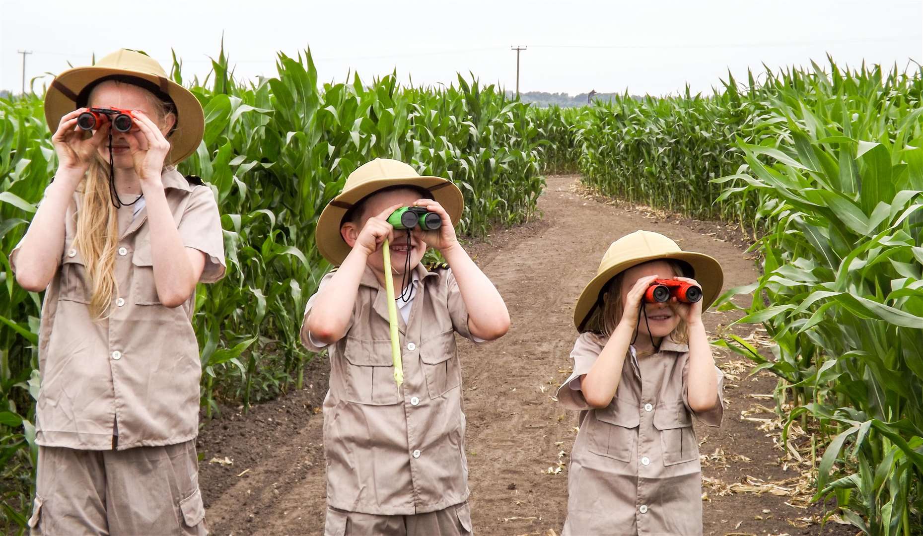 On the look out for dinosaurs in the Skylark maize maze: Annabell Wesley, 11, Owen Askew, 7 and Amelia Hathaway, 6. (3047058)