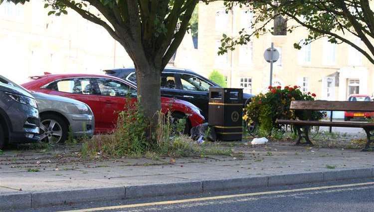 It was scenes like this last summer that sparked a public outcry and led to a reversal of the council’s no-spray policy.