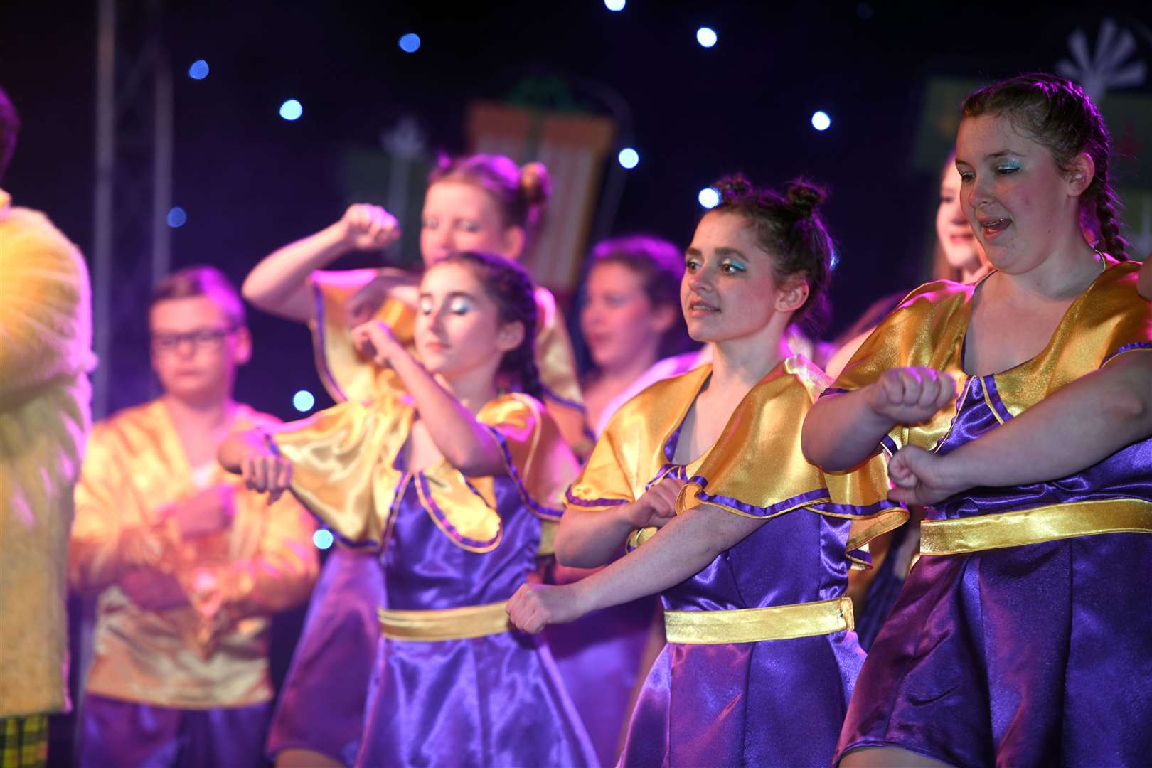 Wisbech Christmas Lights switch on. (53369337)
