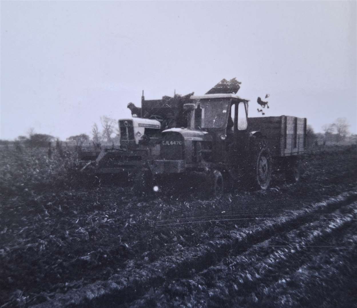 Harvesting in the field - Fred Campling has shared this picture