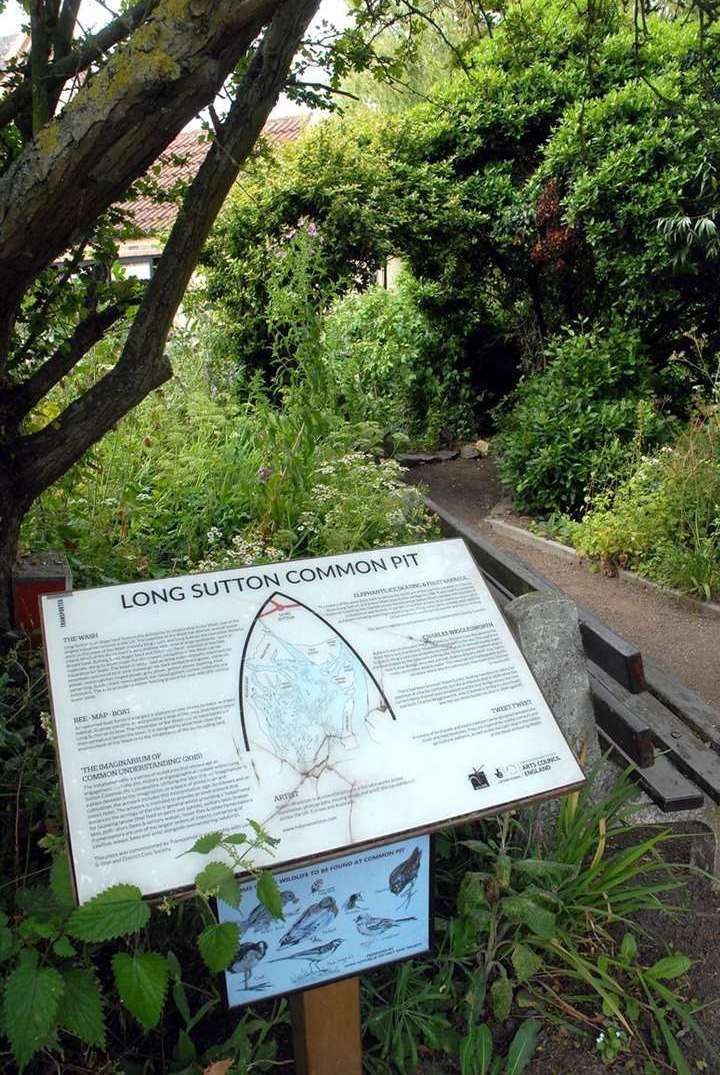Long Sutton Common Pit