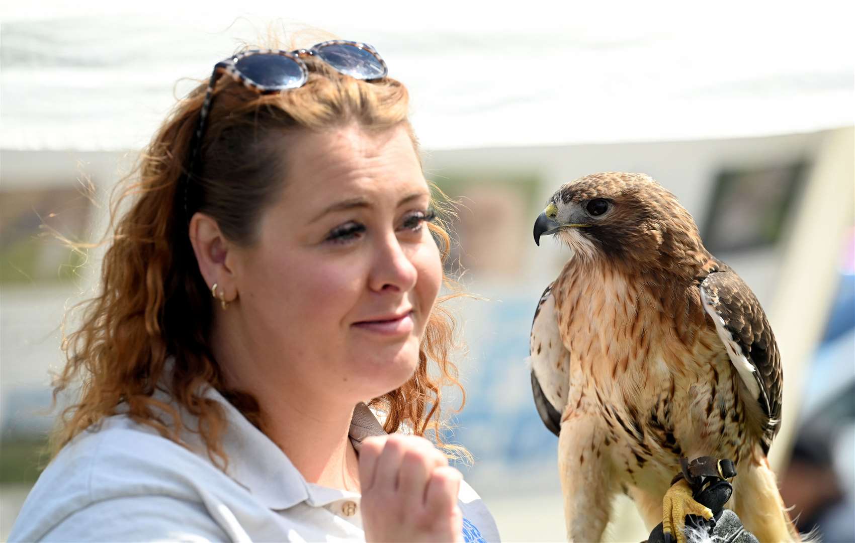 Gorefield Show Belle Swaine with Red tailed Buzzard
