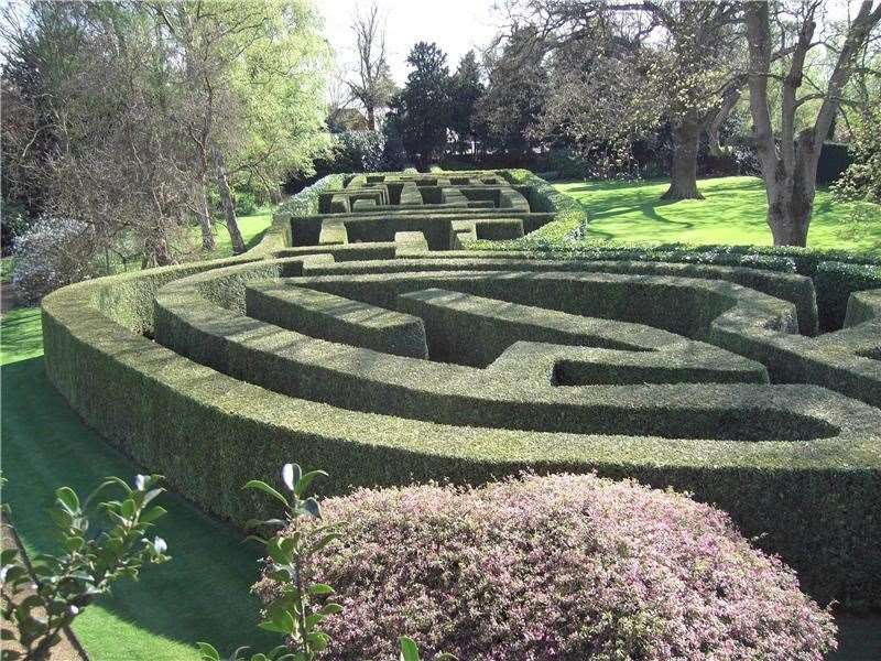 The maze at Elgood's Brewery Garden in Wisbech (31505032)