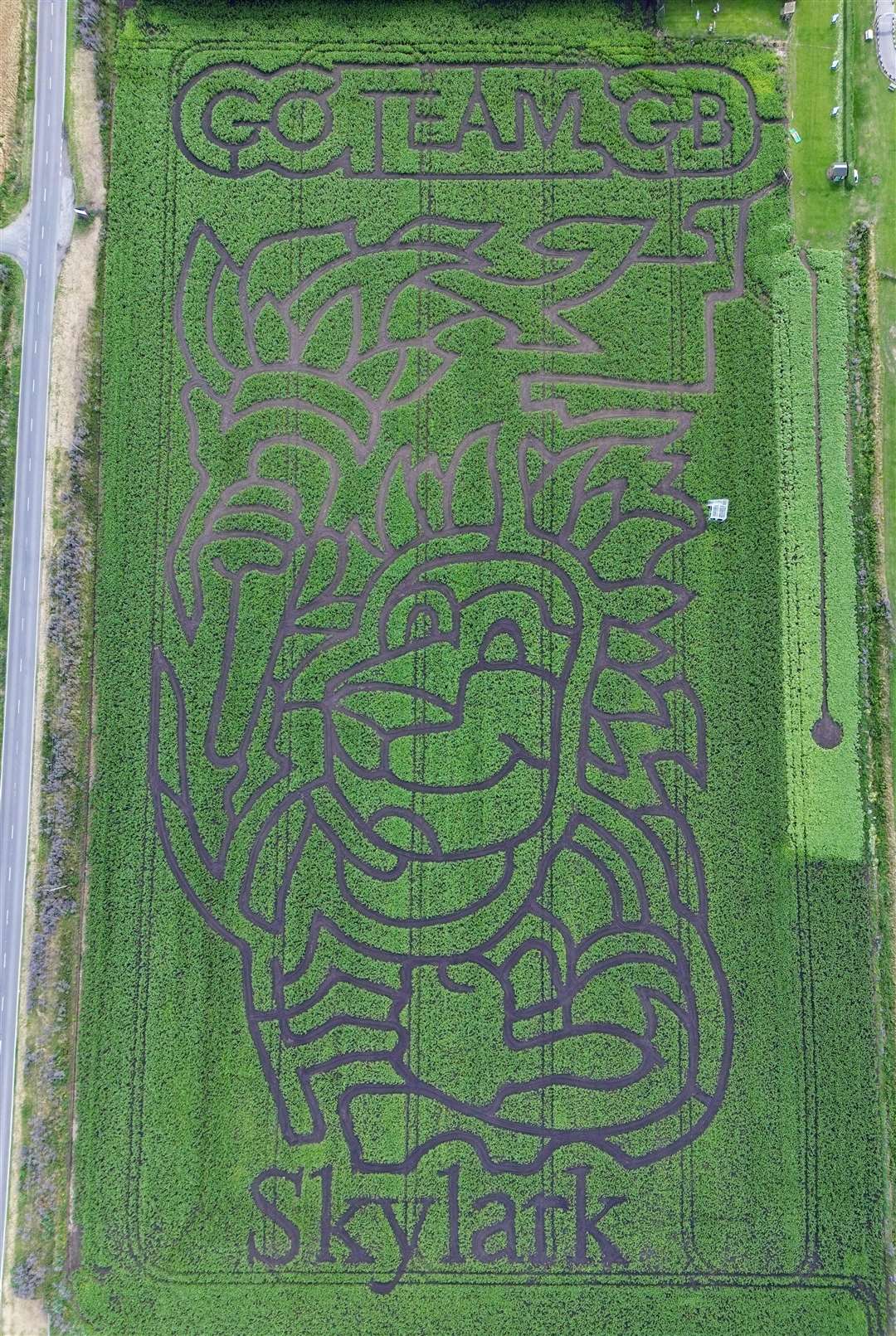 The maze spans more than three kilometres