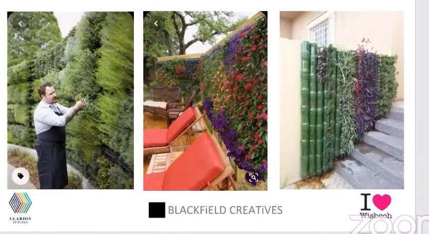 The Vertical Garden Project will see a living wall installed on buildings, including the toilets, in wisbech Town Park. (44235779)