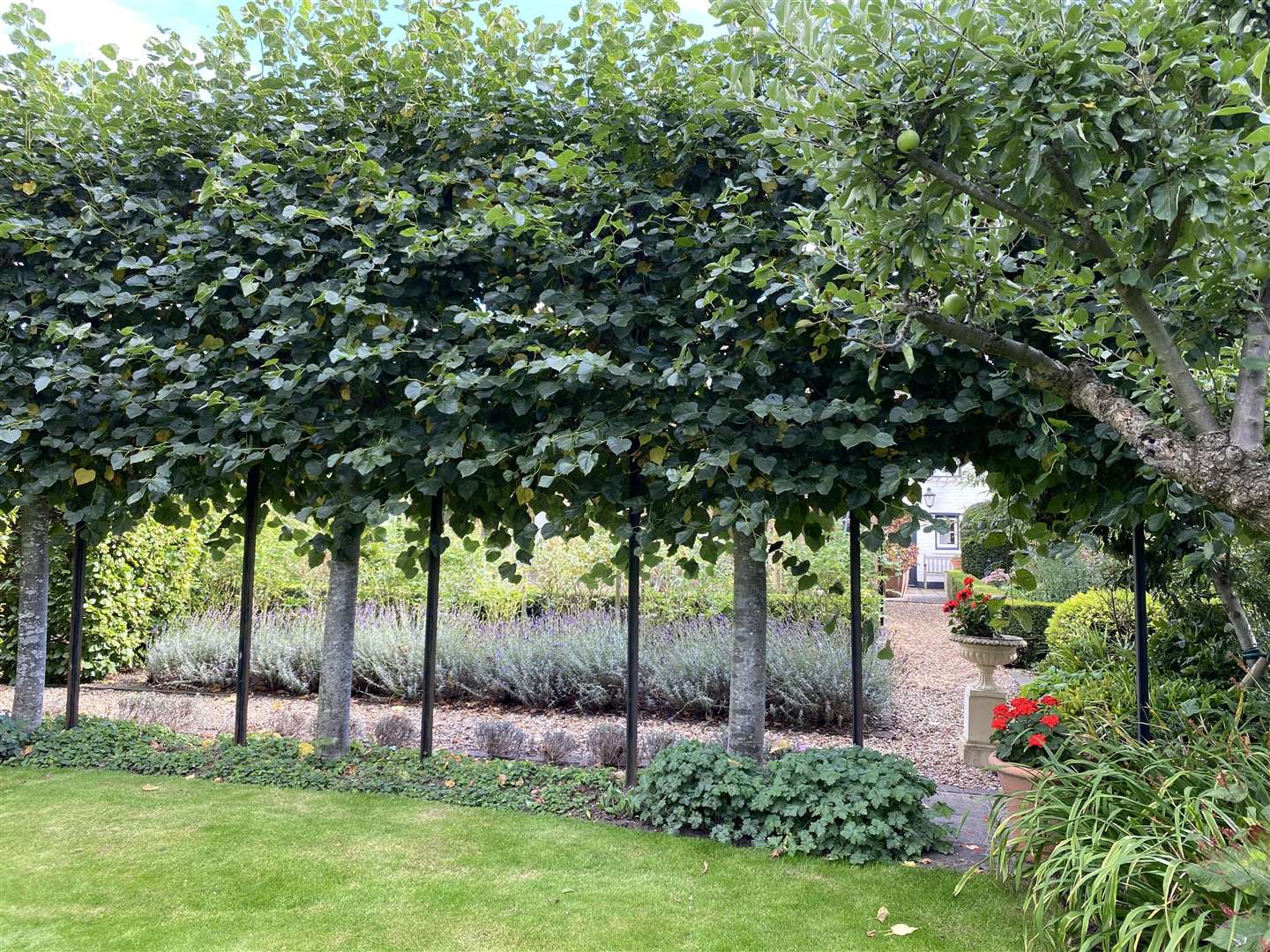 Open Gardens in Cambridgeshire 2022: Manor House, Fenstanton. (56821688)