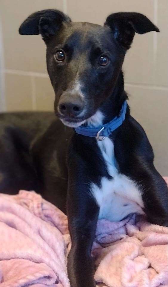 Noel is a lively and friendly young man