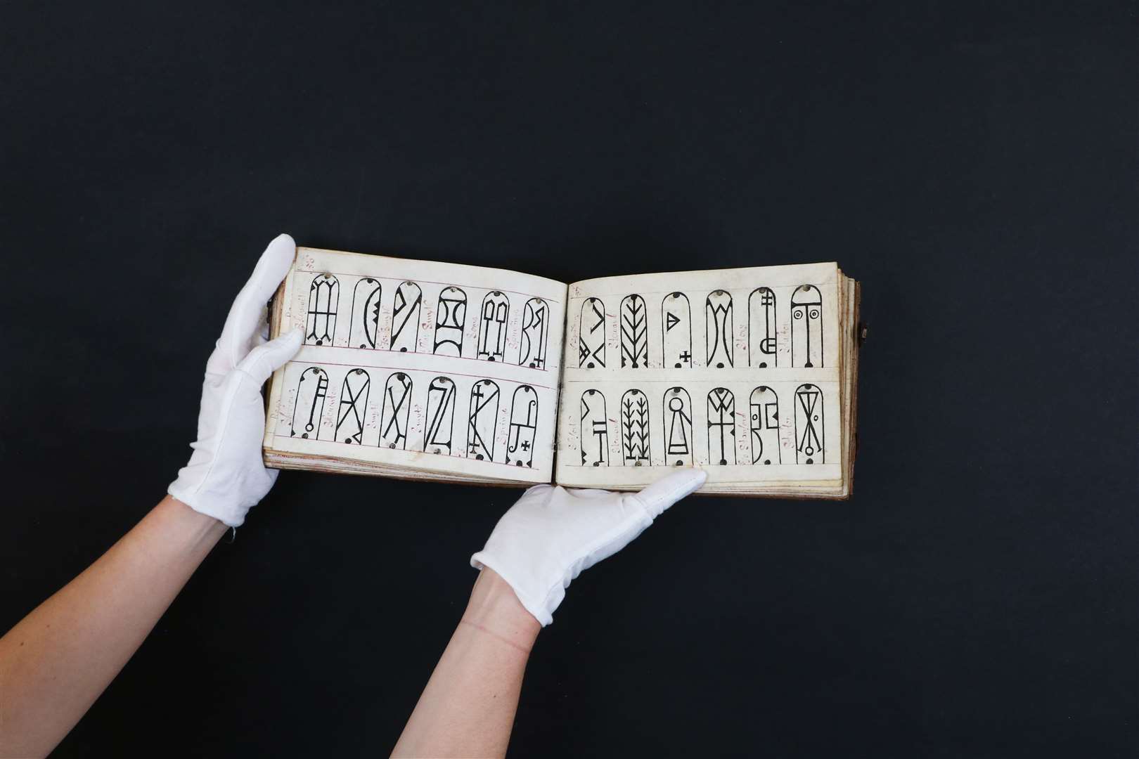 A rare Tudor manuscript designed to help with swan-keeping in the era when mute swans were owned by the English crown to be sold with an estimate of £8000- 16,000. Photo: Sworders.