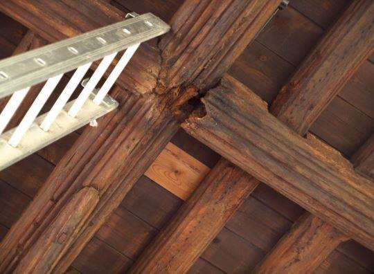 South Aisle Roof: Severe deterioration of timber beneath the failing lead roof covering leaving elements in danger of collapse. (6938353)