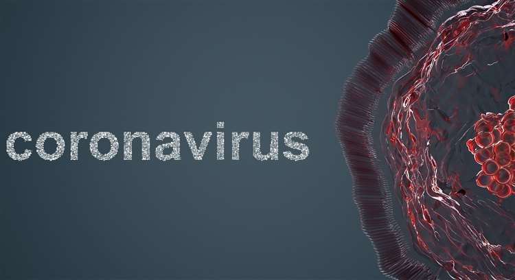 Coronavirus. (31503469)