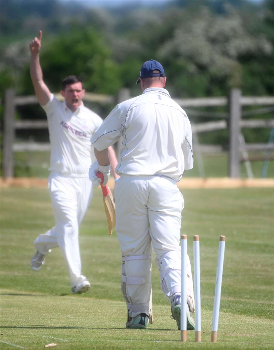 Chatteris' Ant Palmer celebrating bowling Daniel Goldsmith. Picture: Adam Fairbrother