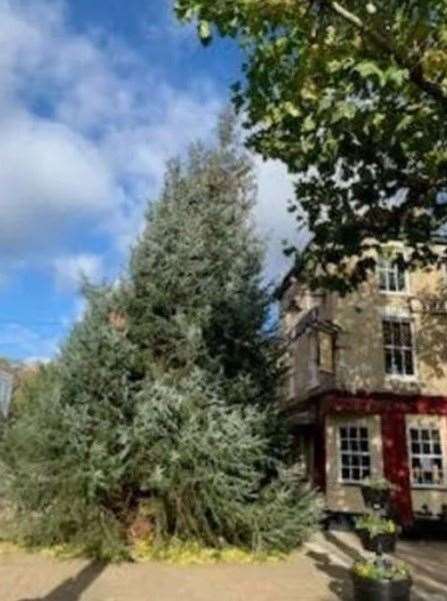 March Christmas tree is on the wonk and has caused it to be dubbed the 'Leaning Tower of Pisa' by residents. Photo: March Christmas Lights.