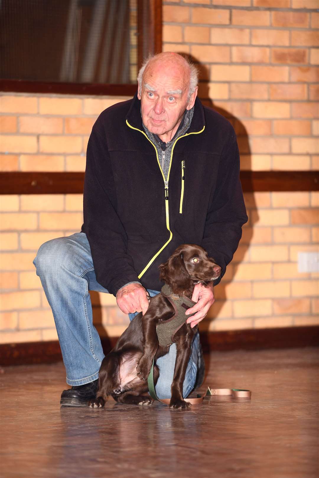 March dog training class. (54113534)