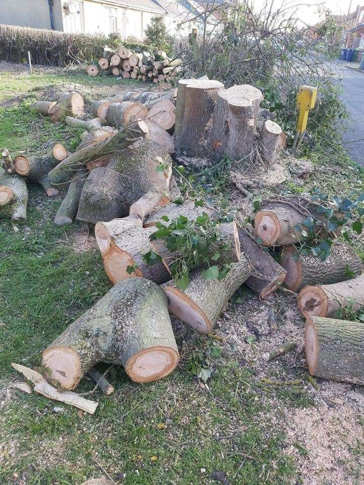 Fenland District Council has been accused of having a 'slash and burn' policy when it comes to the area's trees after these were felled in New Drove, Wisbech. (32910754)