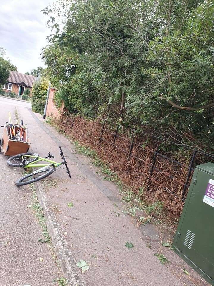 Joseph Beer, 15, has spent lockdown clearing areas in Chatteris that are overgrown and untidy, as well as cleaning road signs. (39931712)
