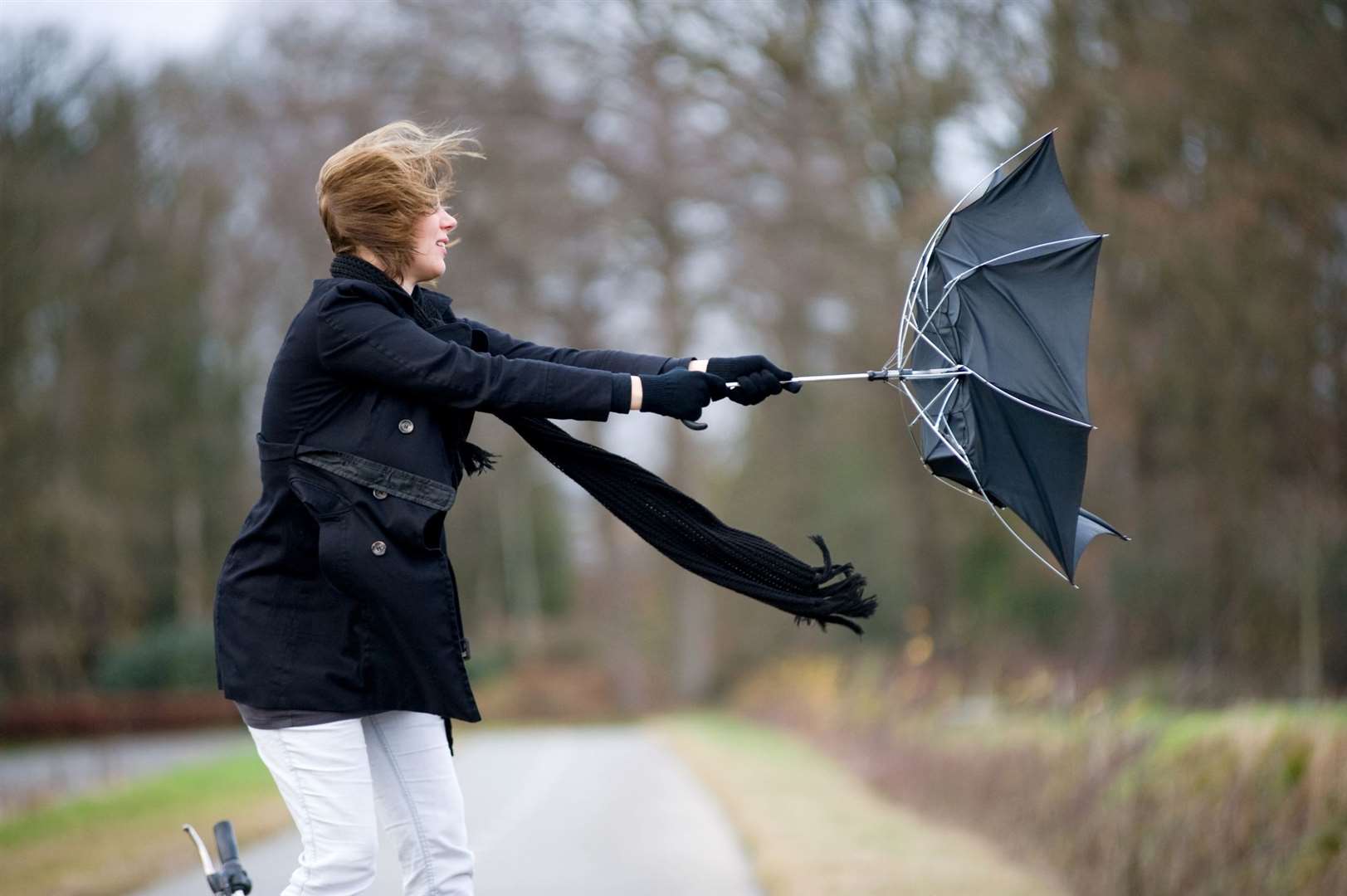 2024 has blustered its way in with heavy rain and stormy weather – Let’s all hope that is not an omen for what’s to come in the next 12 months. Picture: istock