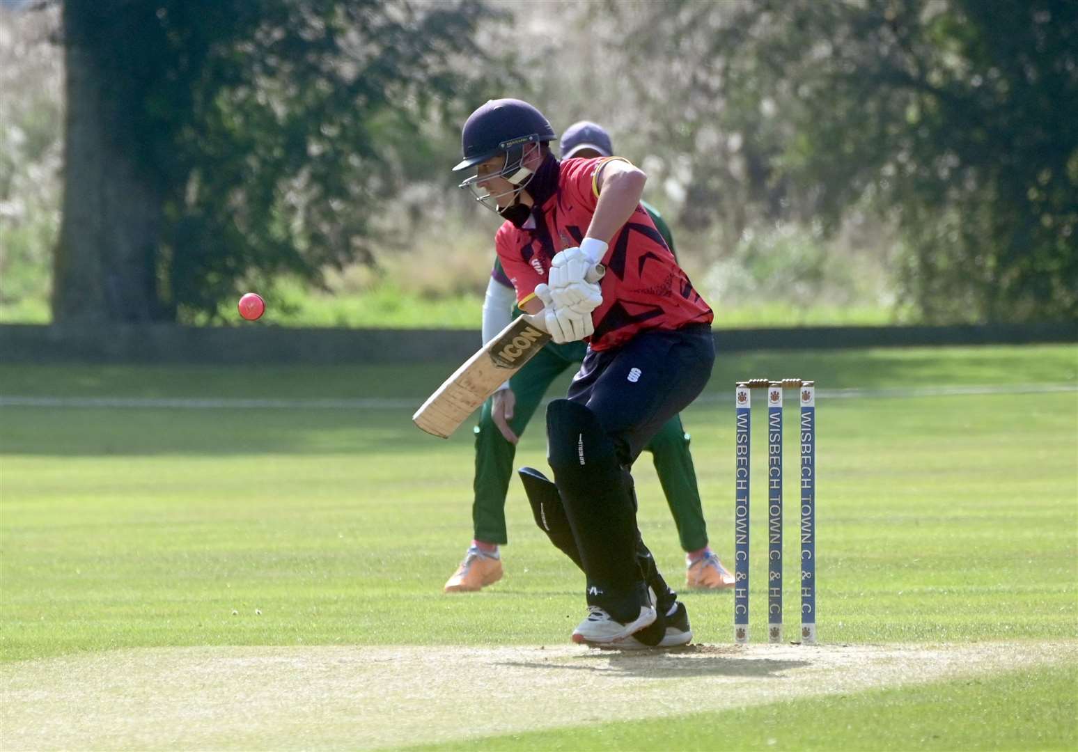 Wisbech v Saffron Walden Danny Haynes batting