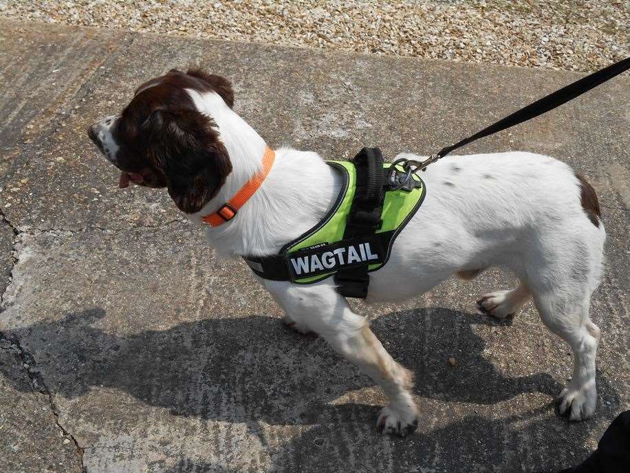 Sniffer dogs from Wagtail International helped with the raids on four premises in Wisbech. Photo: Iliffe archive.