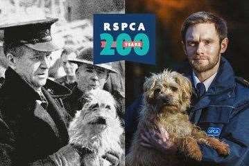 The RSPCA is celebrating 200th anniversary.