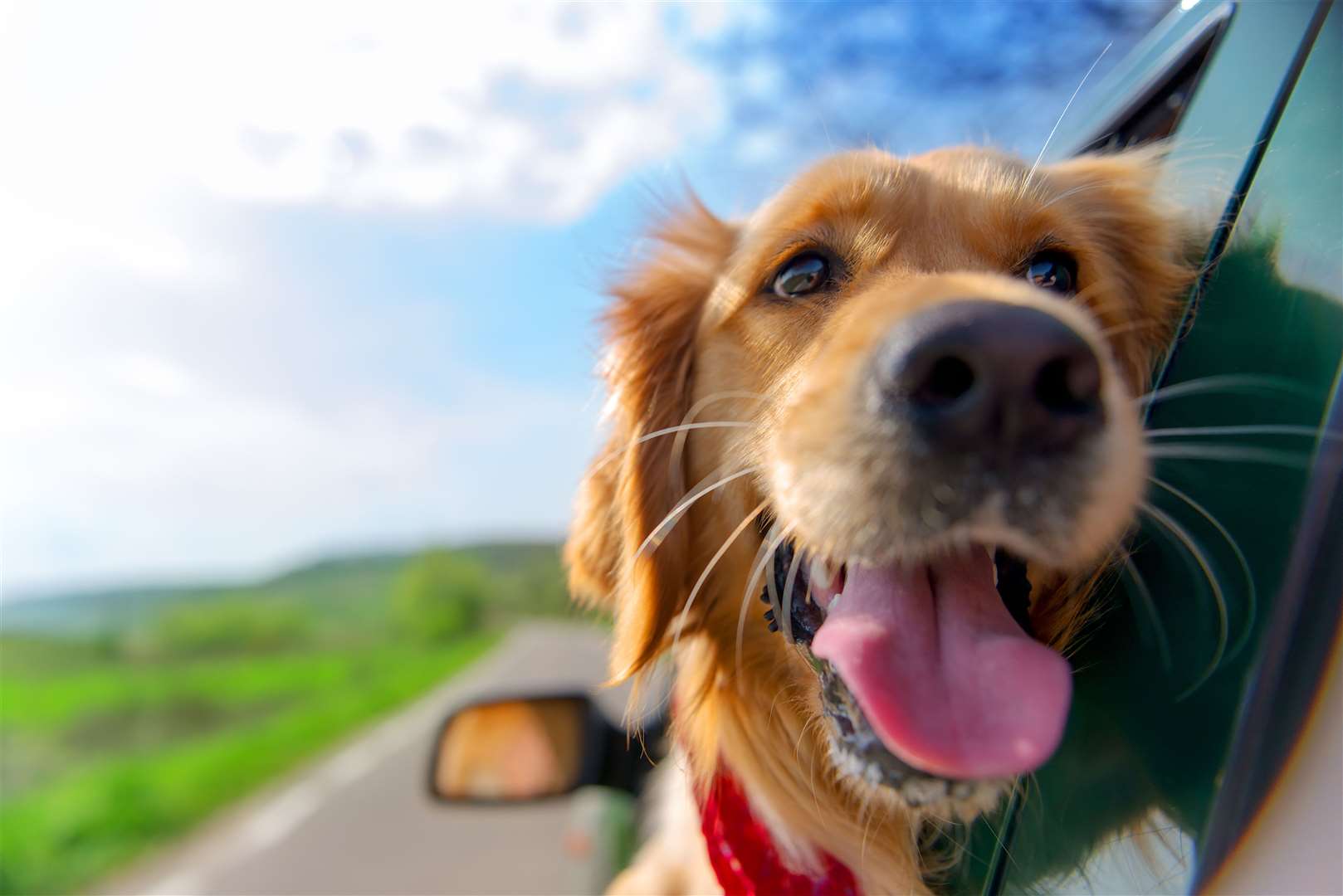 Driving with the window down can increase the drag on the car. Image: iStock.