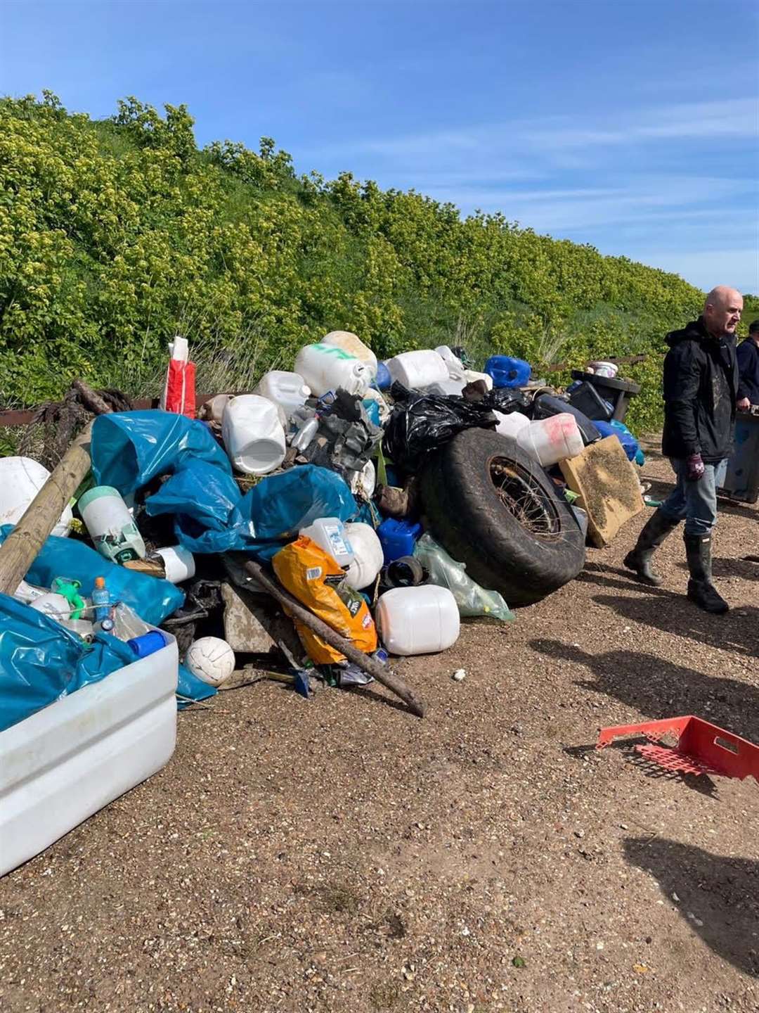 Some of the rubbish collected (56103180)