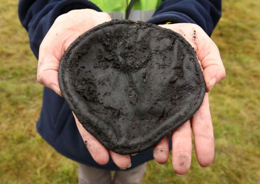 A volunteer holds the leather covering of a head rest as archaeologists excavate a site near Holme Lode Farm in Cambridgeshire to recover the first artefacts from a Spitfire. Photo credit Chris Radburn/PA Wire
