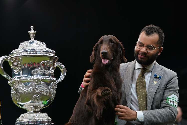 Gundog winner Baxer, a flat-coated retriever, took the Best In Show title at Crufts Dog Show in Birmingham (Joe Giddens/PA) (61607553)