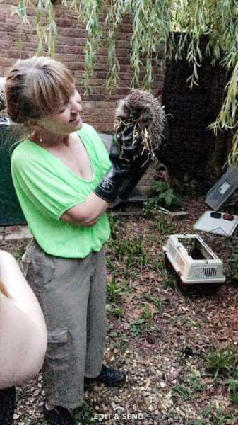 Suzanne Lyons with rescue hedgehog Noel, who she successfully released back into the wild.
