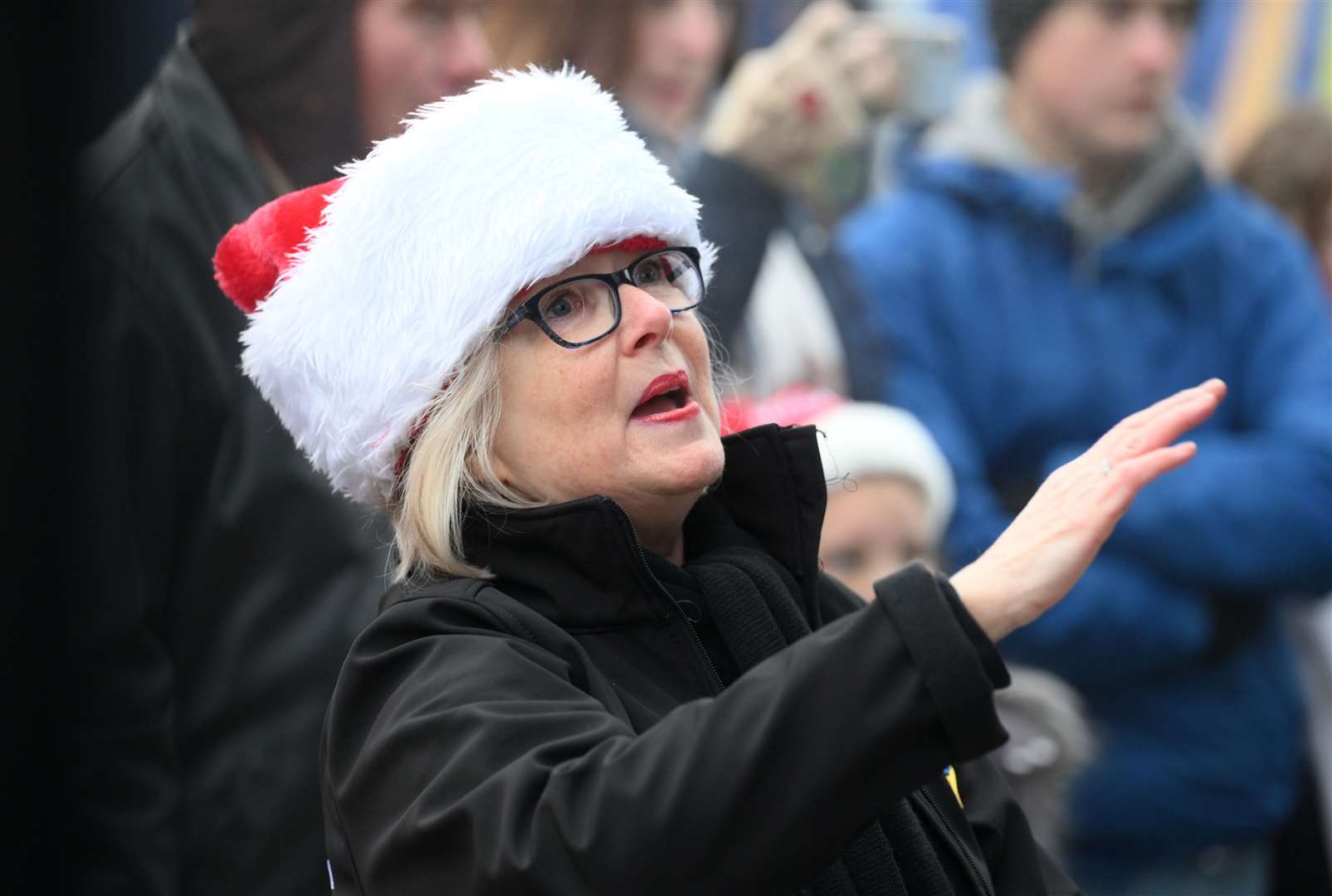 Wisbech Christmas Market. (61247488)