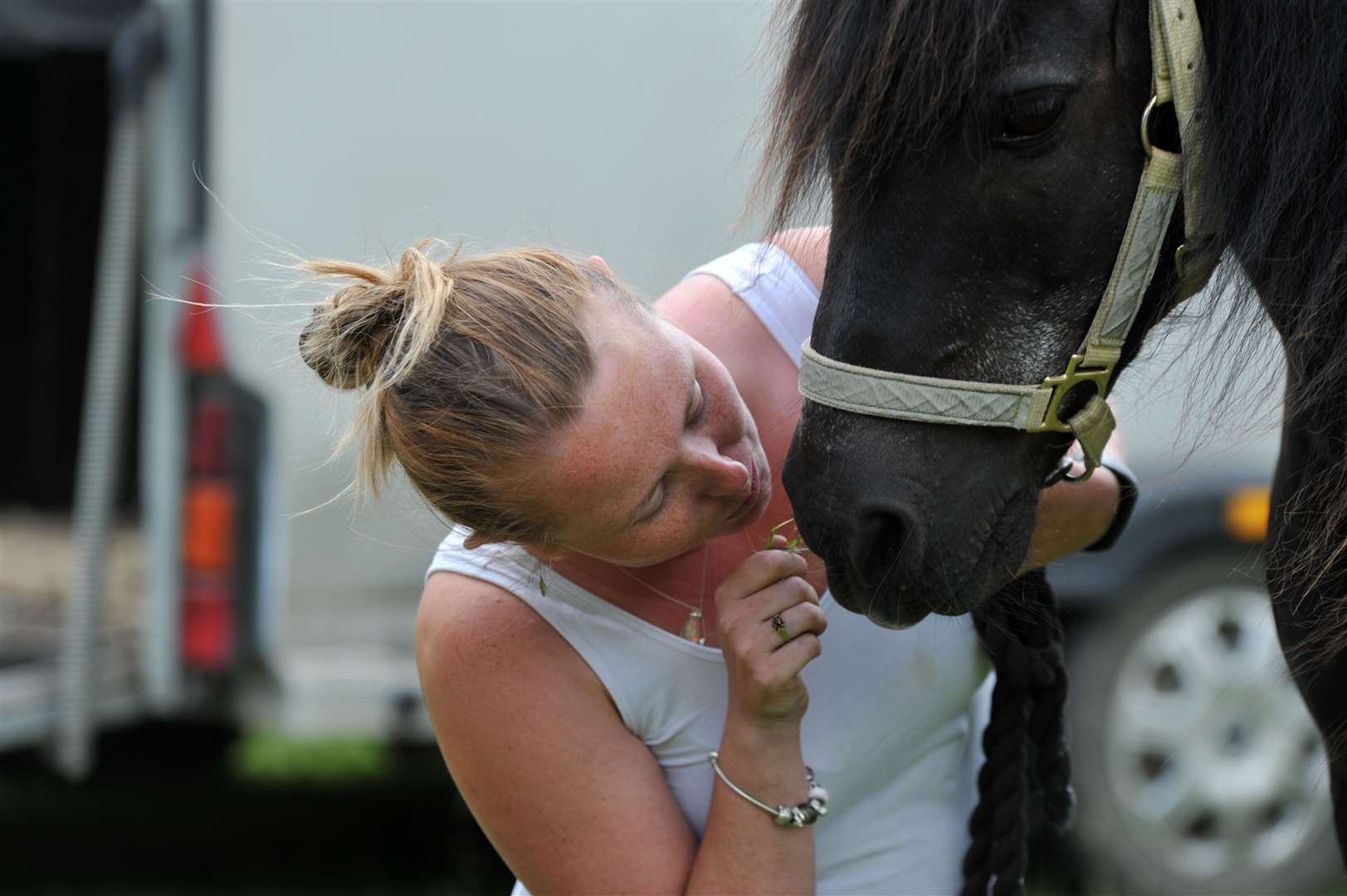 A horse and rider getting ready for the ring