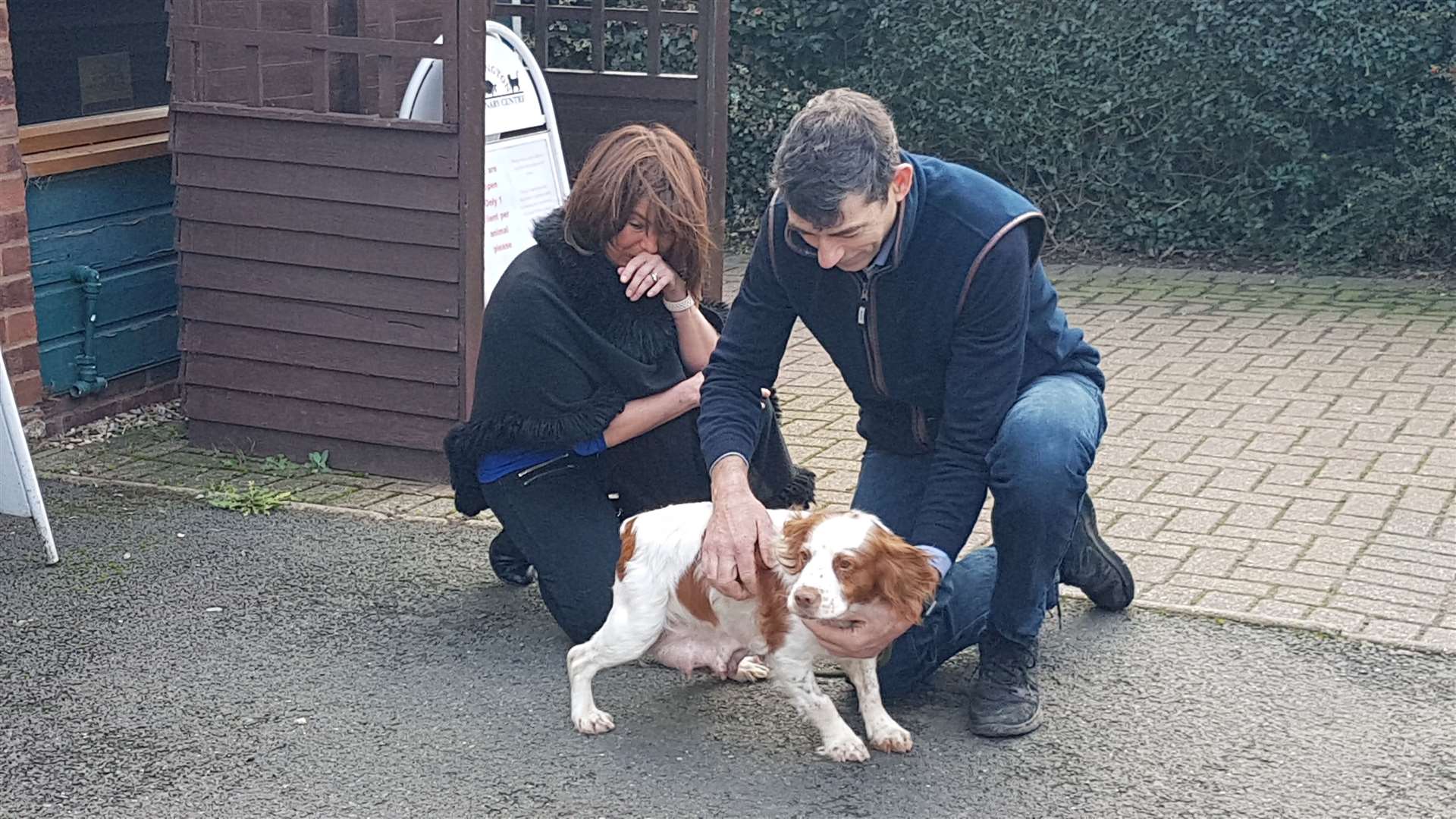 Dog found in Wisbech Park reunited with owners six years after being stolen Dog found in Wisbech Park reunited with owners six years after being stolen