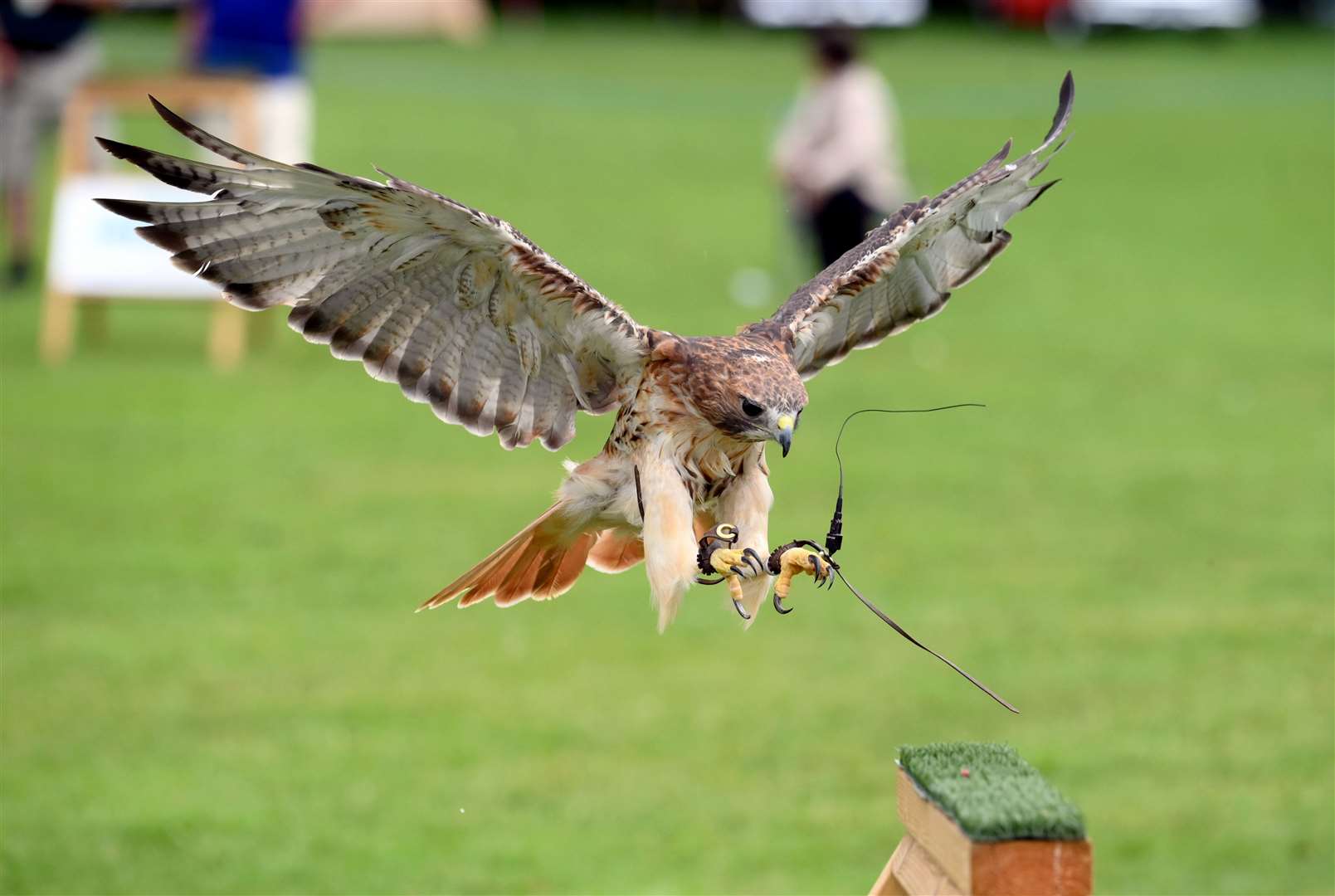 Upwell summer fete