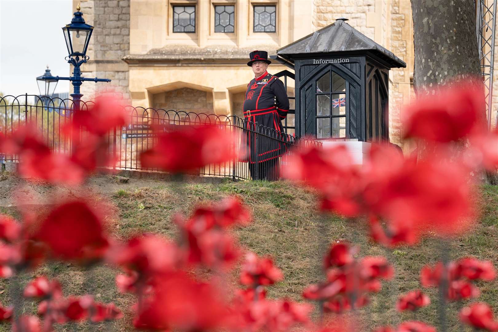 A display of 30,000 ceramic poppies at the Tower of London will help mark the anniversary (Stefan Rousseau/PA)