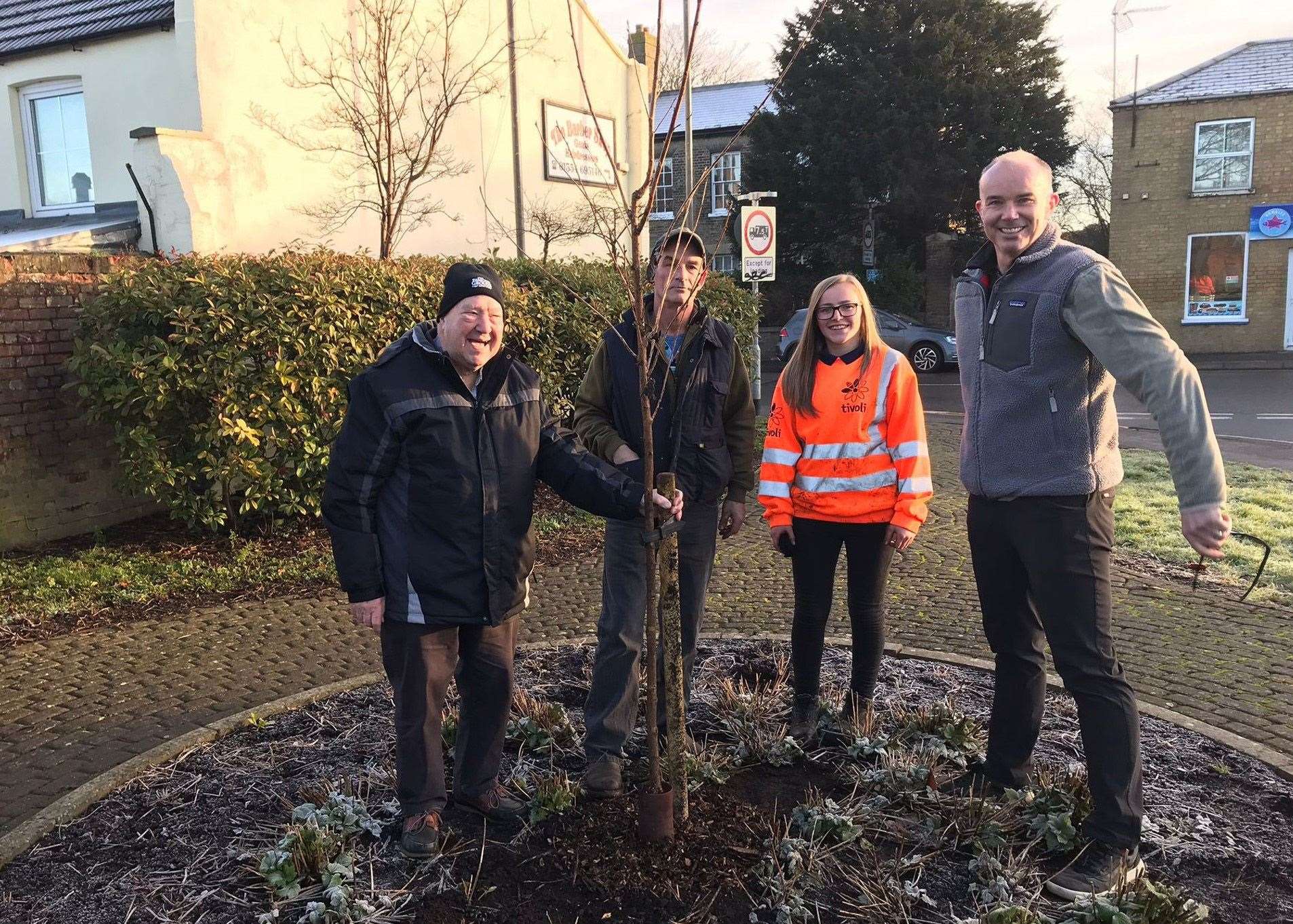 One of the cherry trees being planted in Chatteris. (54261219)