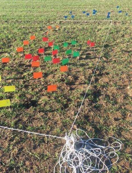 Raymond Kosschuk has shared the picture of where King John's Treasure could lay