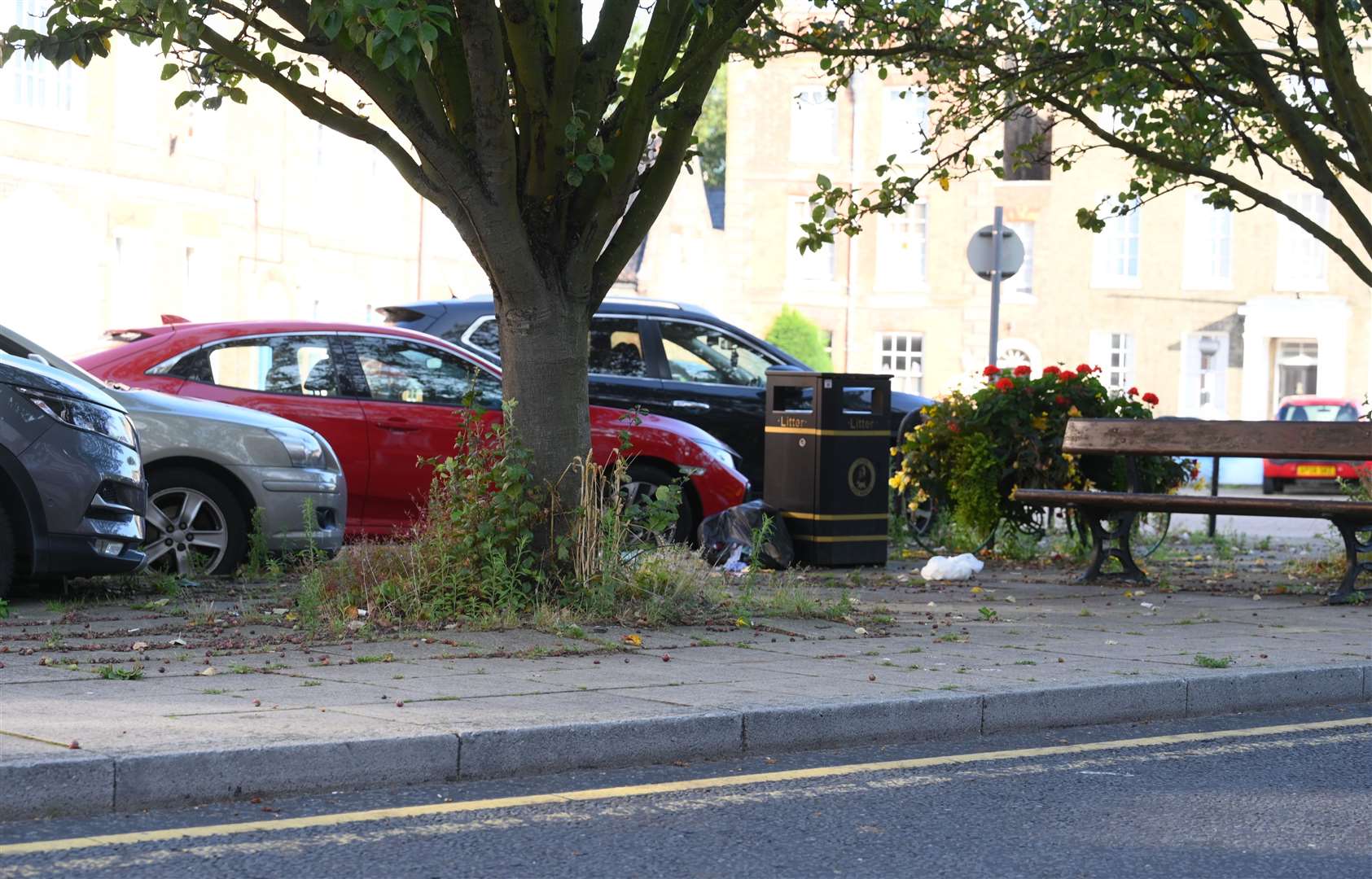 Paths and side of the roads that have got lots of weeds on them.Somers Rd Wisbech