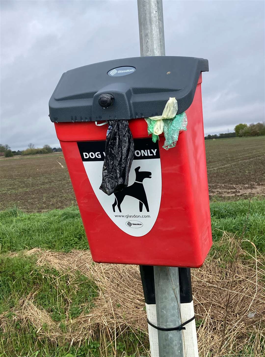 A full dog poo bin