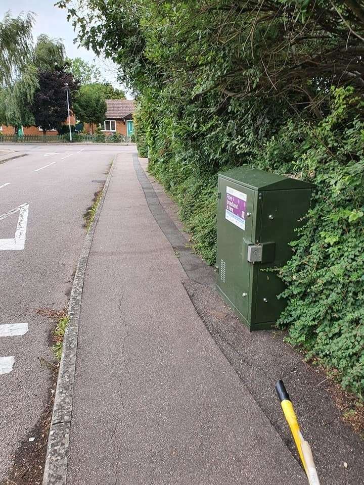 Joseph Beer, 15, has spent lockdown clearing areas in Chatteris that are overgrown and untidy, as well as cleaning road signs. (39931715)
