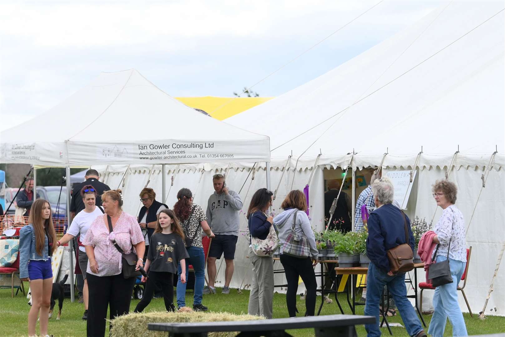 Doddington Summer Show