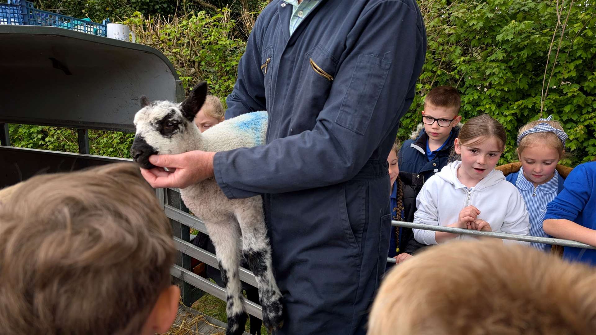 Students enjoyed meeting the lambs